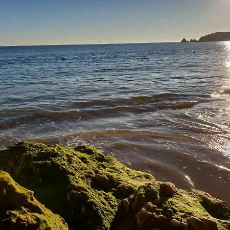 Algarve Tower Apartament *