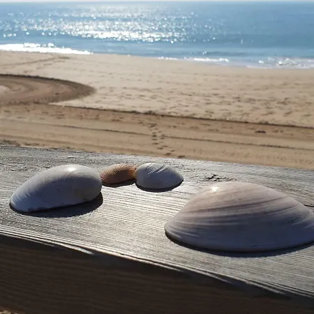 Algarve Tower * Alvor